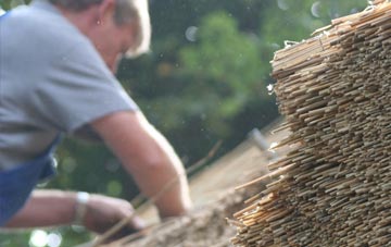 professional Willitoft thatchers